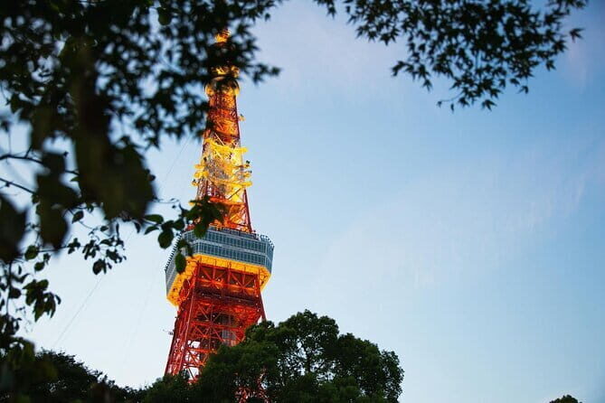 Tokyo Private City Tour - Final Thoughts