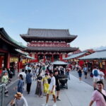 Tokyo private tour with English speaking driver - The Authentic Experience: What You Might Expect