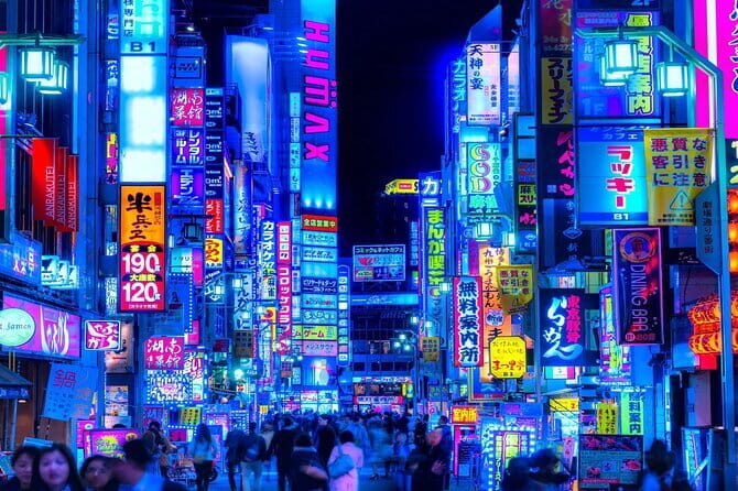 Tokyo Private Tour with English Speaking Driver - Authentic Insights from Reviewers