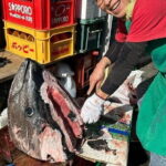 Tokyo Smallest City Izakaya and Snack bar hopping tour - The Itinerary: More Than Just Food
