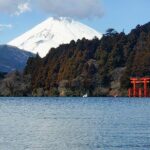 Tokyo to Hakone Customizable Private Tour - Who Should Consider This Tour?