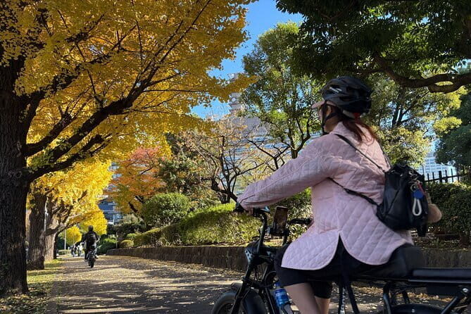 Tokyo Tower area E-Bike Tour: Highlights and Hidden Gems - Who Is This Tour Best For?