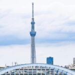 Tokyo Unlocked: A Private Day of Culture, Cuisine & City Secrets - A Deep Dive into the Experience