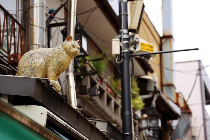 Tokyo Walking Tour of Historic Shopping Streets Yanaka - Why Choose This Tour?
