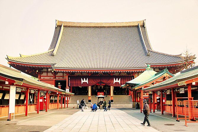 Tokyo Walking Tour with professional guide - Who Should Consider This Tour?