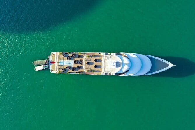 Top Halong Bay Luxury Tour: Sea Octopus Day Cruise from Hanoi - What Sets This Tour Apart?