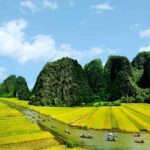 Top Highlights Ninh Binh Full Day Tours from Hanoi By Limousine - Practical Tips for Your Ninh Binh Tour