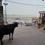 Tour Ancient Varansi by E-Rickshaw - FAQs