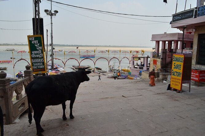 Tour Ancient Varansi by E-Rickshaw - FAQs
