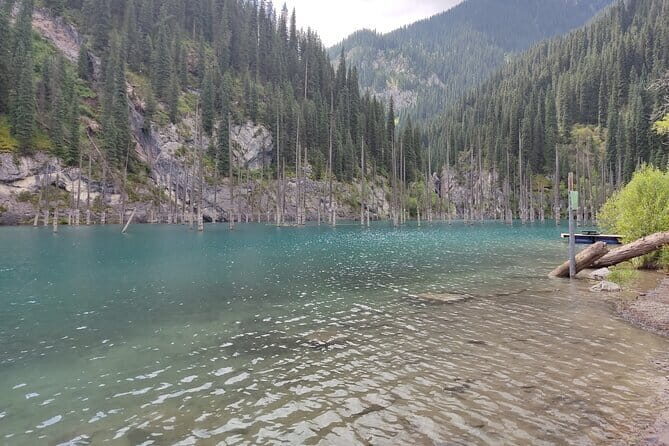 Tour in Almaty Kaindy Lake and Kolsai Lake via Charyn Canyon - Lunch Break — Flexibility and Local Flavors