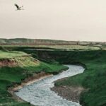 Tour in Samarkand & Bukhara with Fergana valley (8d7n) - What’s Included and What’s Not