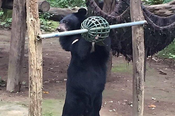 Tour of Elephant Conservation and Bear Rescue Center From Agra - What Makes This Tour Stand Out
