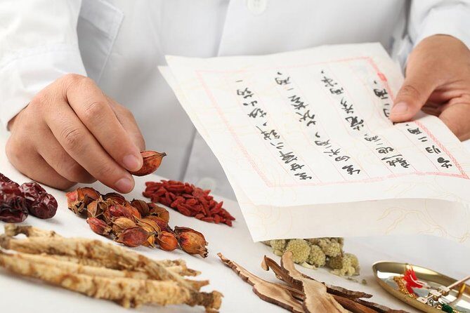 Traditional 2-Hour Chinese Medicine Lesson in Shanghai - Introduction