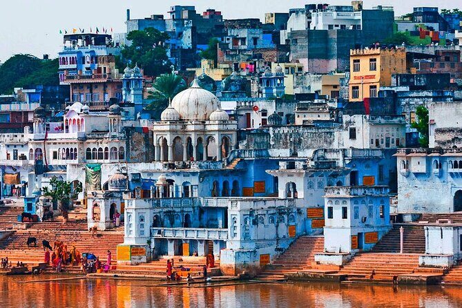 Travel From Jaipur to Udaipur Via Pushkar and Ajmer - What the Reviews Say