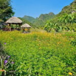 Trek Cat Ba National Park, Viet Hai Village, Kayak in Lan Ha Bay - Who Is This Tour Best For?
