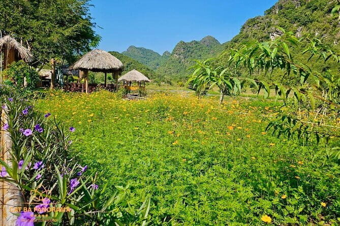 Trek Cat Ba National Park, Viet Hai Village, Kayak in Lan Ha Bay - Who Is This Tour Best For?