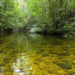 Trekking and Bird Watching in Kanneliya Rain Forest - Value and Practical Considerations