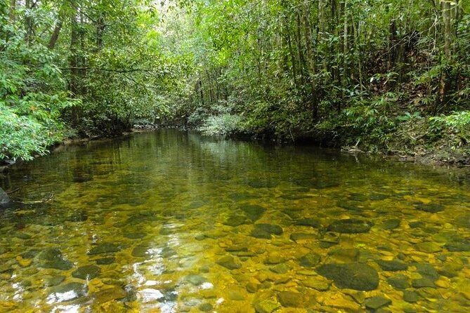 Trekking and Bird Watching in Kanneliya Rain Forest - Value and Practical Considerations