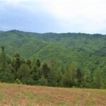 Trekking Guide in Kathmandu - Who Should Consider This Tour?