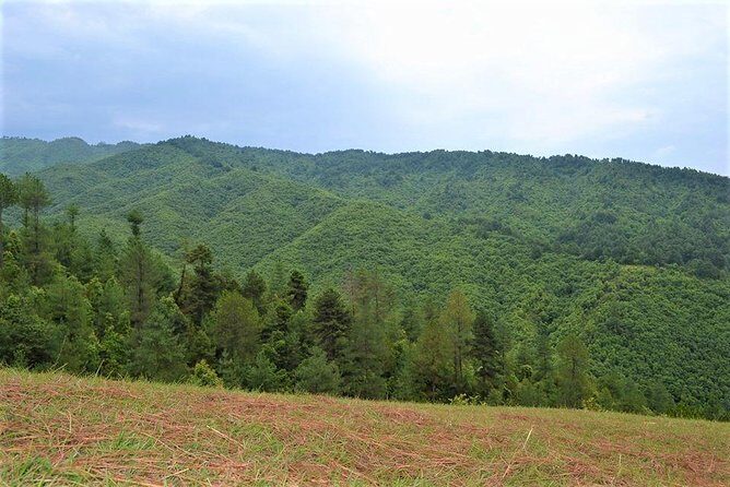 Trekking Guide in Kathmandu - Who Should Consider This Tour?
