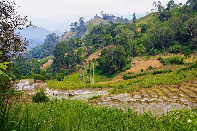 Trekking in Illukpelessa Village from Ella - The Practicalities