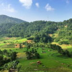 Trekking to Heeloya village from Kandy - Who Would Love This Experience?