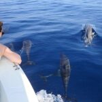 Trinco Tour B - Whales, Dolphins & Snorkeling tour - Authentic Insights from Reviewers