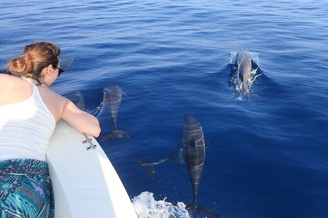 Trinco Tour B - Whales, Dolphins & Snorkeling tour - Authentic Insights from Reviewers