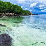 Trincomalee City Tour from Sigiriya - Practical Insights: What You Need to Know
