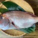Tsukiji Outer Market Walking and Cooking Experience - Practicalities and Value