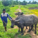 U Minh Thuong Forest and Pineapple Villages - Final Thoughts
