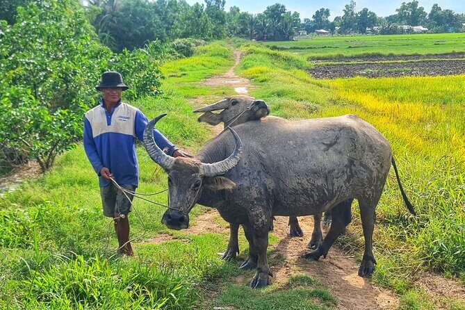 U Minh Thuong Forest and Pineapple Villages - Final Thoughts