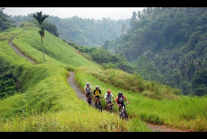 Ubud Bliss: Village Cycling and Jungle Swing Adventure - Authentic Experience and Guides