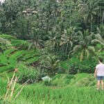 Ubud Experience - Who Will Love This Tour?