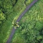Ubud Full Day Sightseeing Private Guided Tour - Practical Details and What They Mean for You