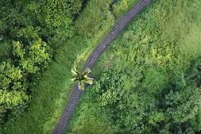 Ubud Full Day Sightseeing Private Guided Tour - Practical Details and What They Mean for You