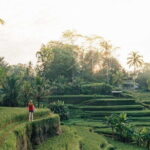 Ubud Swing, Rice Terrace and Waterfall Highlights Tour - An In-Depth Look at the Itinerary