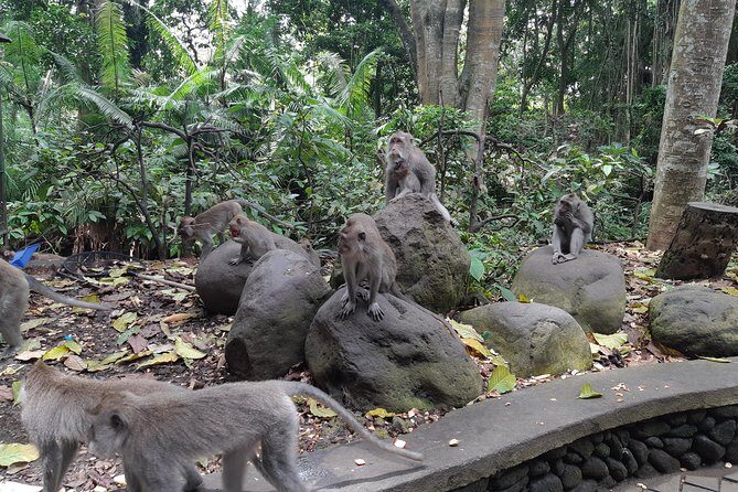 Ubud Swing, Water Temple and Waterfall Tour - Final Thoughts