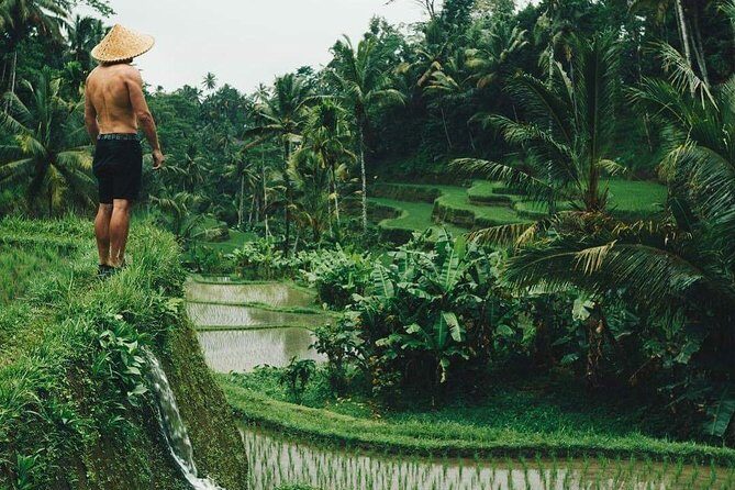 Ubud Tour - Best of Ubud - All Inclusive - What’s Included & Whats Not