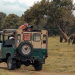 Udawalawe National Park Safari from Colombo - Analyzing the Tour’s Value