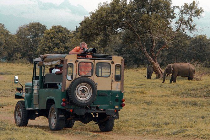 Udawalawe National Park Safari from Colombo - Analyzing the Tour’s Value