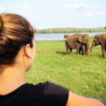 Udawalawe national park tour from bentota with jeep safari - FAQ