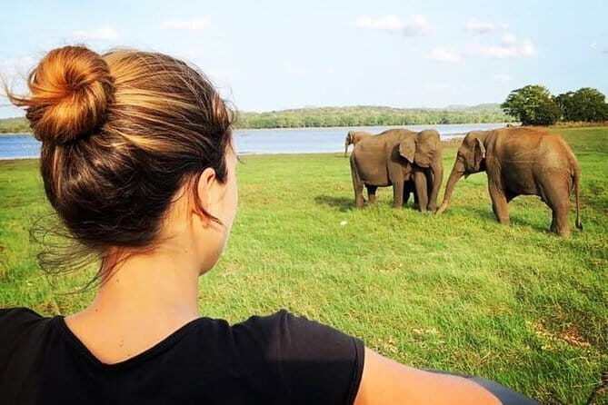 Udawalawe national park tour from bentota with jeep safari - FAQ