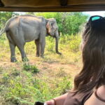 Udawalawe Safari & Elephants Orphanage Visit From Hambantota Port - Who Is This Tour Best Suited For?