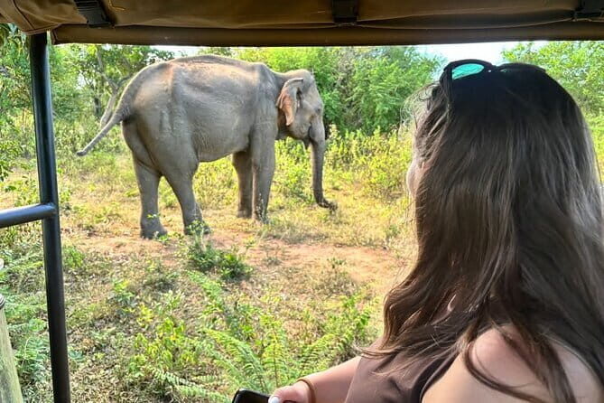 Udawalawe Safari & Elephants Orphanage Visit From Hambantota Port - Who Is This Tour Best Suited For?