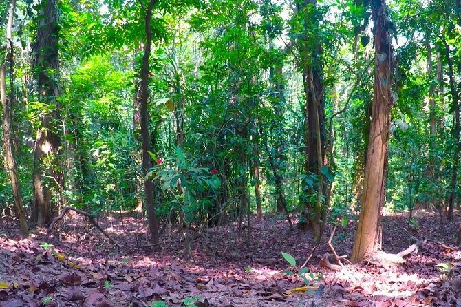 Udawatte Kele Santuary with Nature Walk from Kandy - Who Is This Tour Best For?
