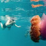 Ukulhas Tour A - 3 Points Snorkeling Tour - Practical Aspects: Transport, Timing, and Group Size