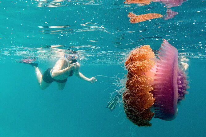 Ukulhas Tour A - 3 Points Snorkeling Tour - Practical Aspects: Transport, Timing, and Group Size