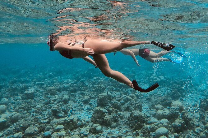 Ukulhas Tour C - Snorkeling & Island Hopping Tour - Final Thoughts: Is This Tour Worth It?