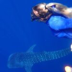 Ukulhas Tour D - Whale Shark Snorkeling & Coral Garden Tour - Who Will Love This Tour
